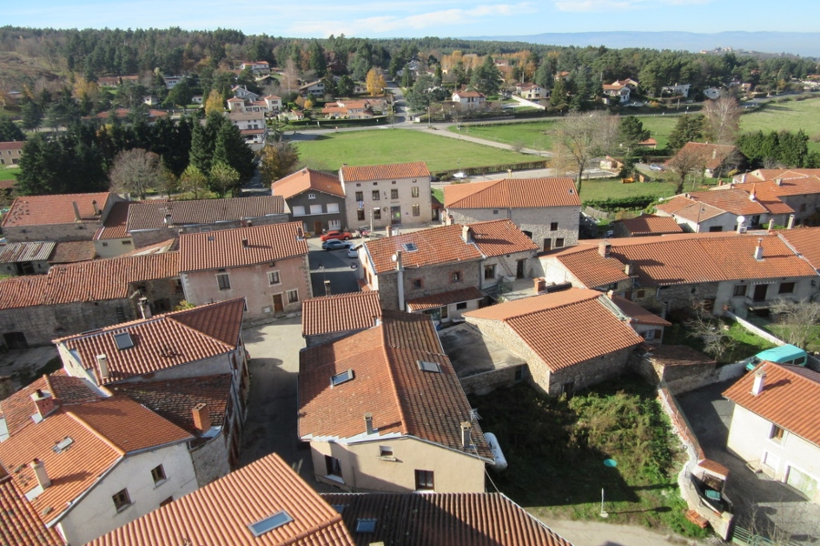 ville de roche-la-moliere